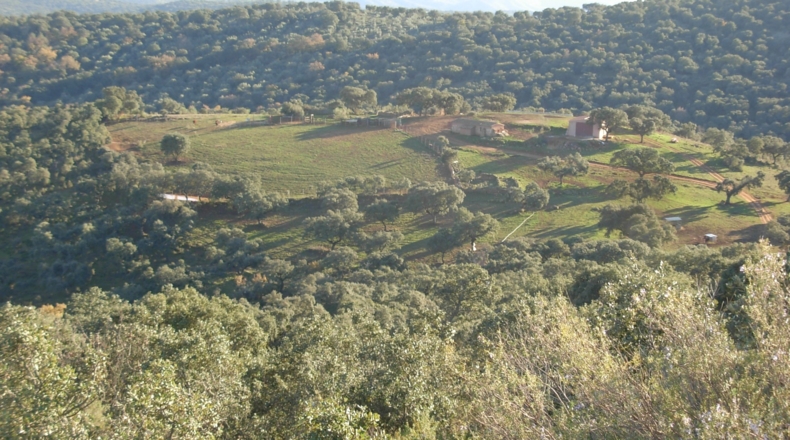 Córdoba - Los Morenos - 973288m2