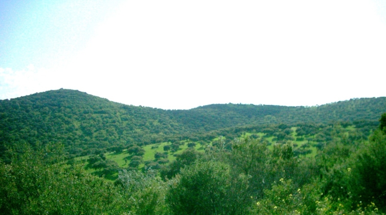 Córdoba - Los Morenos - 973288m2