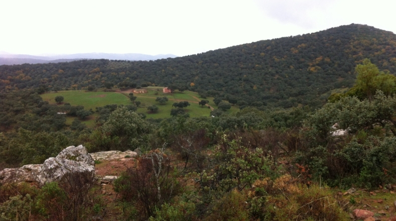 Córdoba - Los Morenos - 973288m2