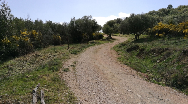 Málaga - Gaucín - 303000m2