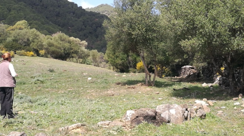 Málaga - Gaucín - 303000m2