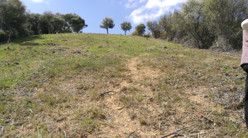 Málaga - Gaucín - 303000m2