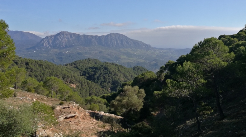 Málaga - Gaucín - 303000m2