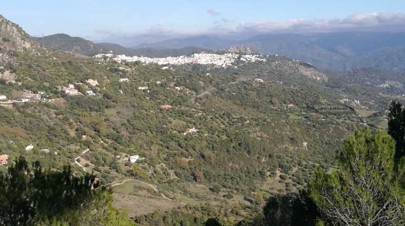 Málaga - Gaucín - 303000m2