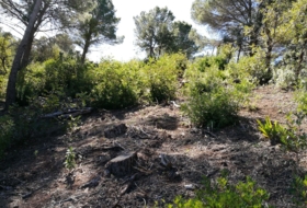 Foto 9