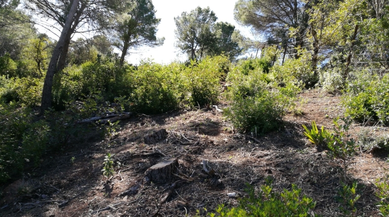 Málaga - Gaucín - 303000m2