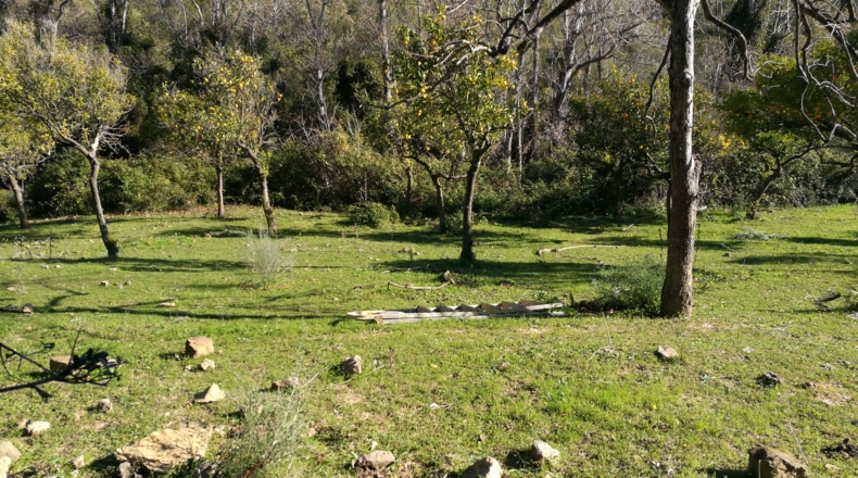 Málaga - Gaucín - 303000m2