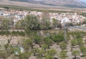 Casa de camp amb terreny en venda a la Camino el Róquez, Chirivel, ref.: TR74262 foto