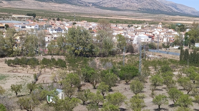 Almería - Chirivel - 50000m2