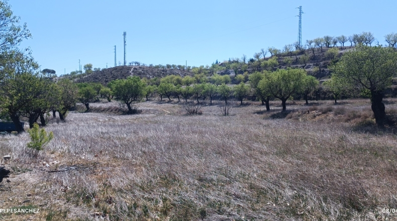 Almería - Chirivel - 50000m2