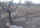 Terreno no urbanizable en venta en la Sierra de quita pellejos entre jumilla pinoso y yecla, Yecla, ref: TR74300 foto