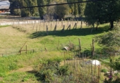 Parcel·la urbanitzable en venda a la TORNEIROS RIBEIRA 22, O Porrinyo, ref.: TR74401 foto