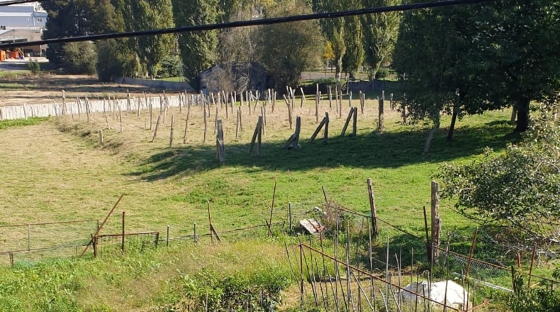 Pontevedra - Porriño - 8650m2