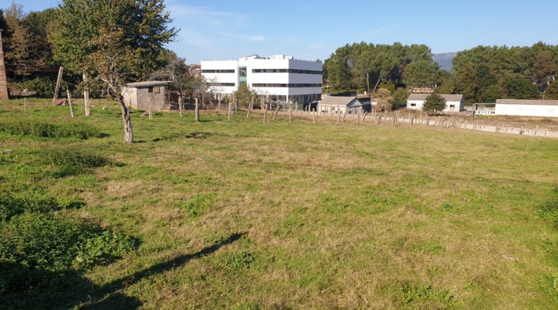 Pontevedra - Porriño - 8650m2