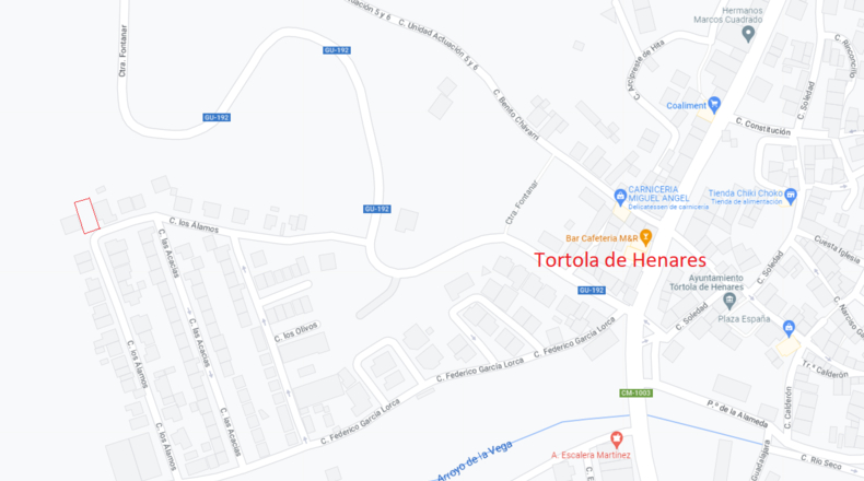 Guadalajara - Tórtola de Henares - 220m2