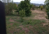 Parcel·la urbanitzable en venda a la Camino Montoyas, Múrcia, ref.: TR74630 foto
