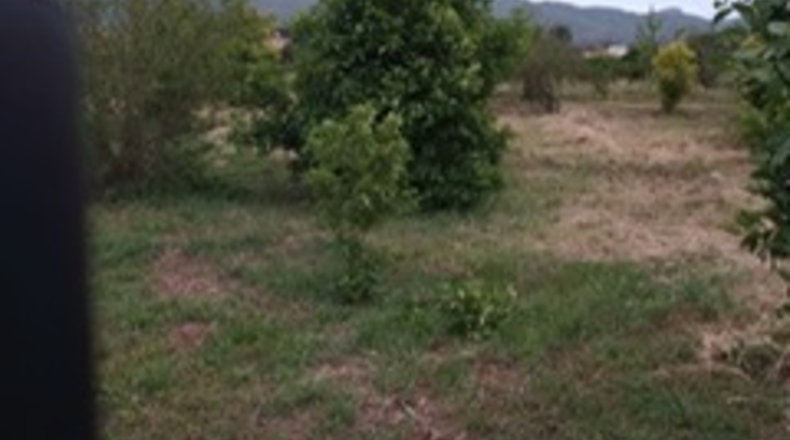 Murcia - Murcia - 1118m2
