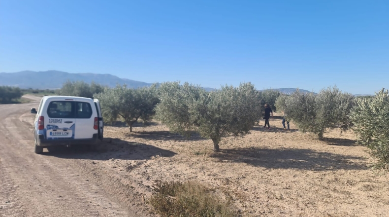 Murcia - Totana - 4600m2
