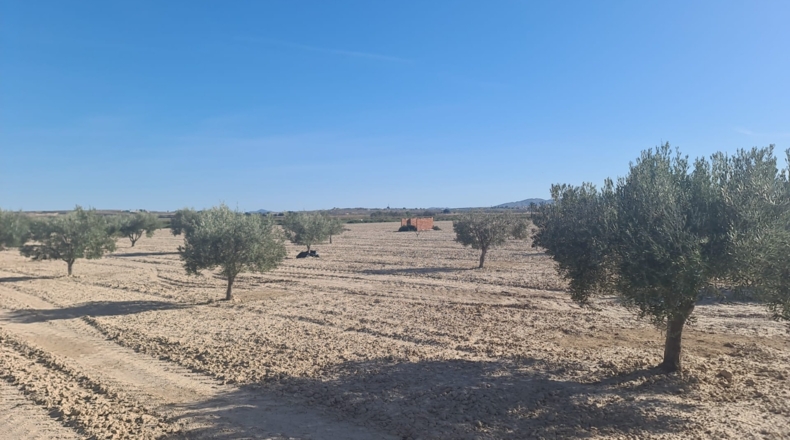 Murcia - Totana - 4600m2