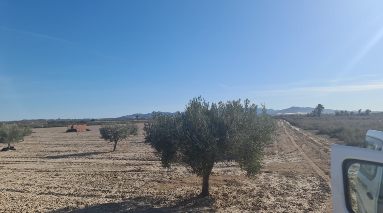 Murcia - Totana - 4600m2
