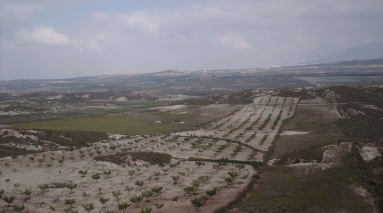 Murcia - El Saladillo - 31000m2