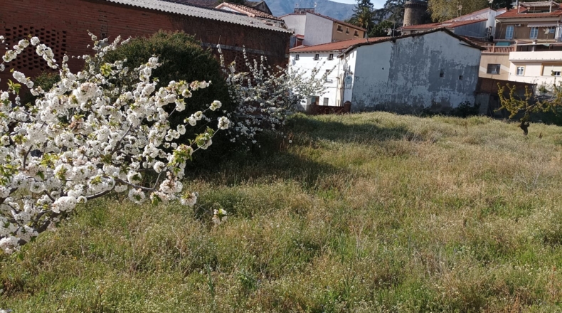 Cáceres - Jarandilla de la Vera - 120m2