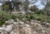 Parcel·la urbanitzable en venda a la Av/ olesa de bonesvalls 61, Sant Pere de Ribes, ref.: TR75042 foto
