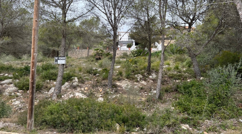 Barcelona - Sant Pere de Ribes - 943m2