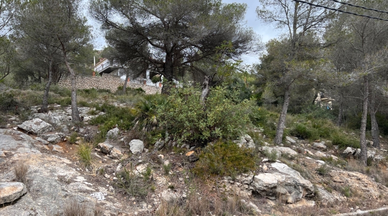 Barcelona - Sant Pere de Ribes - 943m2