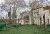 Country house with land for sale on Calle Mesalina, Carmona, ref: TR75208 photo