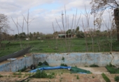 Country house with land for sale on Calle Mesalina, Carmona, ref: TR75208 photo