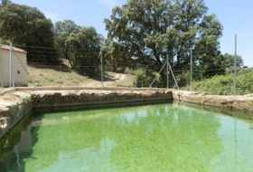 Villanueva de los Infantes 5260000&nbsp;m² 