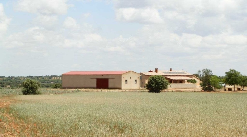 Ciudad Real - Villanueva de los Infantes - 5260000m2
