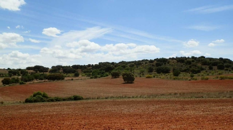 Ciudad Real - Villanueva de los Infantes - 5260000m2