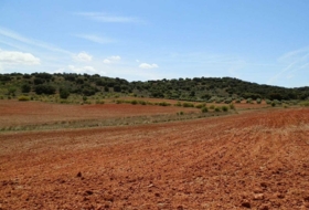 Villanueva de los Infantes 5260000&nbsp;m² 