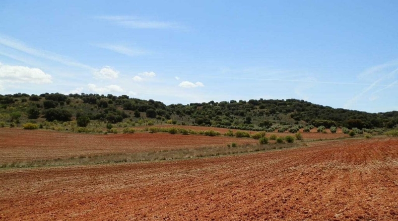 Ciudad Real - Villanueva de los Infantes - 5260000m2