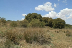 Villanueva de los Infantes 5260000&nbsp;m² 