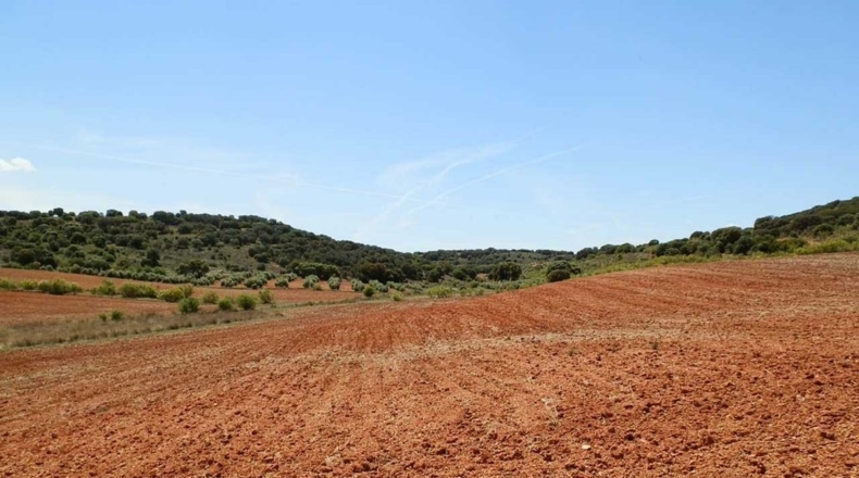 Ciudad Real - Villanueva de los Infantes - 5260000m2