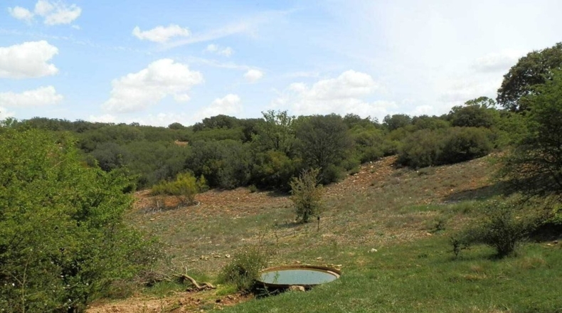 Ciudad Real - Villanueva de los Infantes - 5260000m2