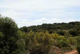 Villanueva de los Infantes 5260000&nbsp;m² 