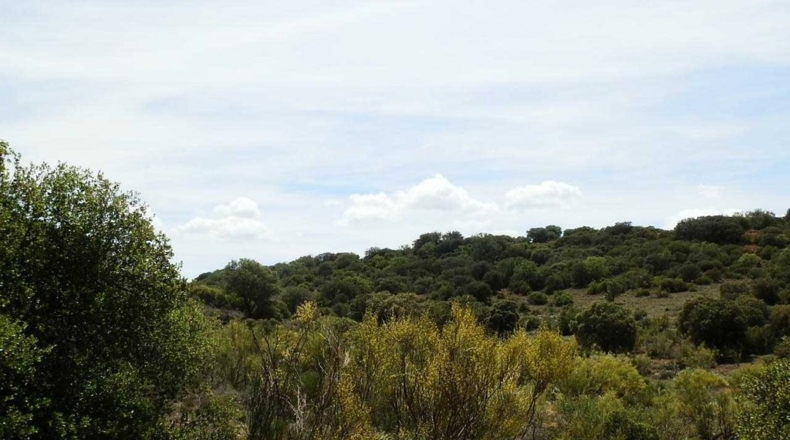 Ciudad Real - Villanueva de los Infantes - 5260000m2
