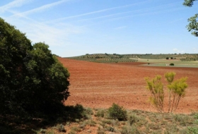 Villanueva de los Infantes 5260000&nbsp;m² 