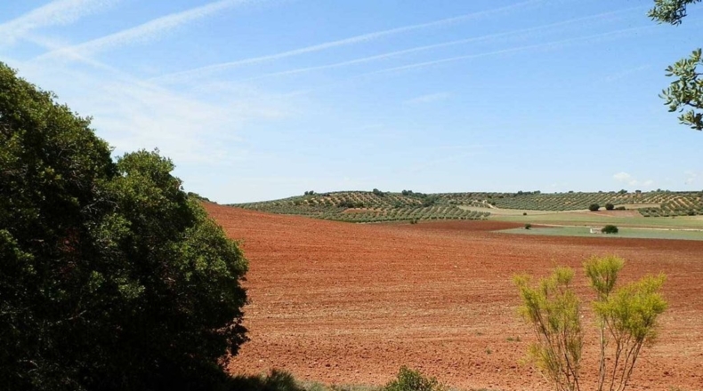 Ciudad Real - Villanueva de los Infantes - 5260000m2