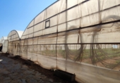 Rural estate for sale on Camí de les Francines, Cambrils, ref: TR70643 photo