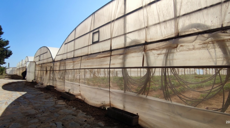 Tarragona - Cambrils - 35000m2