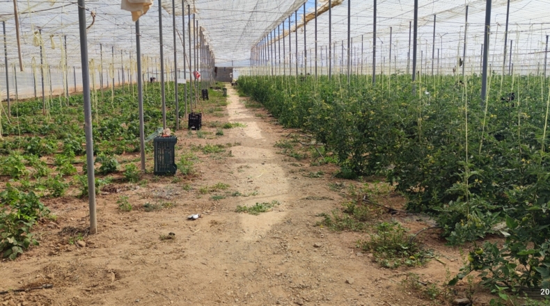 Tarragona - Cambrils - 35000m2
