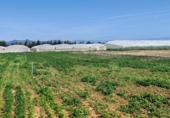 Rural estate for sale on Camí de les Francines, Cambrils, ref: TR70643 photo