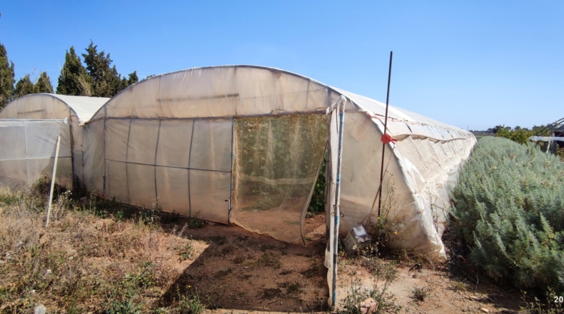 Tarragona - Cambrils - 35000m2