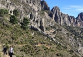 Non-developable land for sale on Alona, Alicante, ref: TR75209 photo