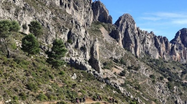 Alicante - Alicante - 5600m2
